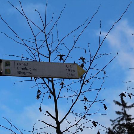 Pension Entersburg Bad Bertrich Εξωτερικό φωτογραφία